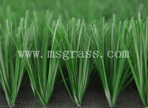 MDG50-3/4-120- 